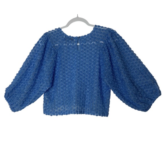 Zara Top Women's Small Blue‎ Floral Roae Bud Tulle Puff Sleeve Cropped Formal - Picture 3 of 11
